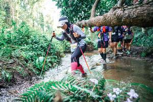 BIB: 
                            <button type="button" onclick="openModal(25475990)" class="btn btn-primary btn-sm float-right btn-popup" data-toggle="modal" data-target=".modal-high-quality">
                        <i class="fas fa-shopping-cart"></i> Add to Cart
                    </button>
                                            <button type="button" onclick="isThisMe(25475990, true)" class="btn btn-success btn-sm float-right btn-popup btn-isme hidden" data-toggle="tooltip" data-placement="bottom" title="นี่คือรูปของคุณใช่ไหม คลิกที่นี่เพื่อเอาเข้าอัลบั้ม">
                        <i class="fas fa-plus"></i> Add to album
                    </button>
                    <button type="button" onclick="isThisMe(25475990, false)" class="btn btn-warning btn-sm float-right btn-popup btn-isnotme hidden">
                        <i class="fas fa-ban"></i> Remove from album
                    </button>